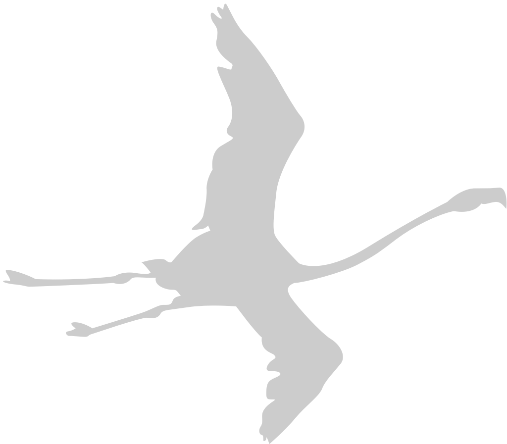 Bird vector