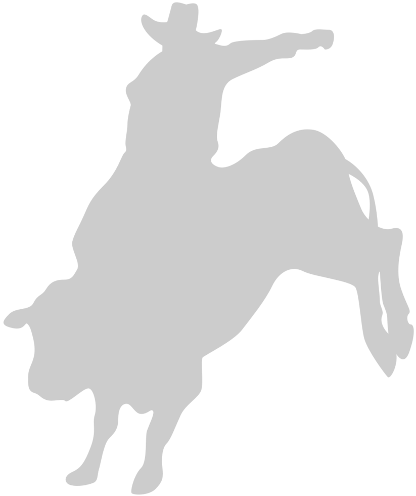 Bull Rider vector