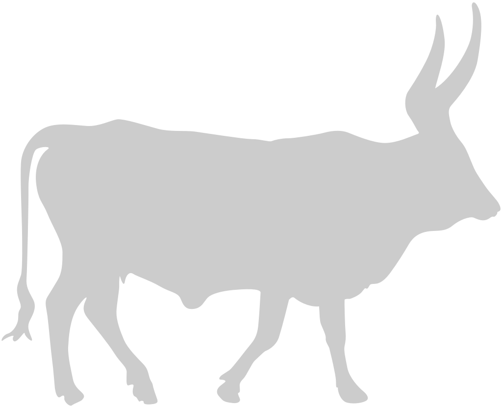 Bull vector