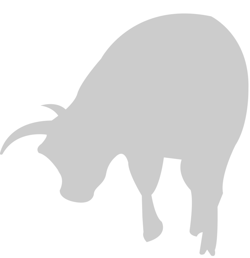 Bull vector