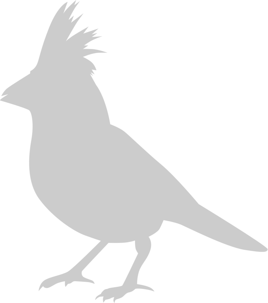Cardinal vector