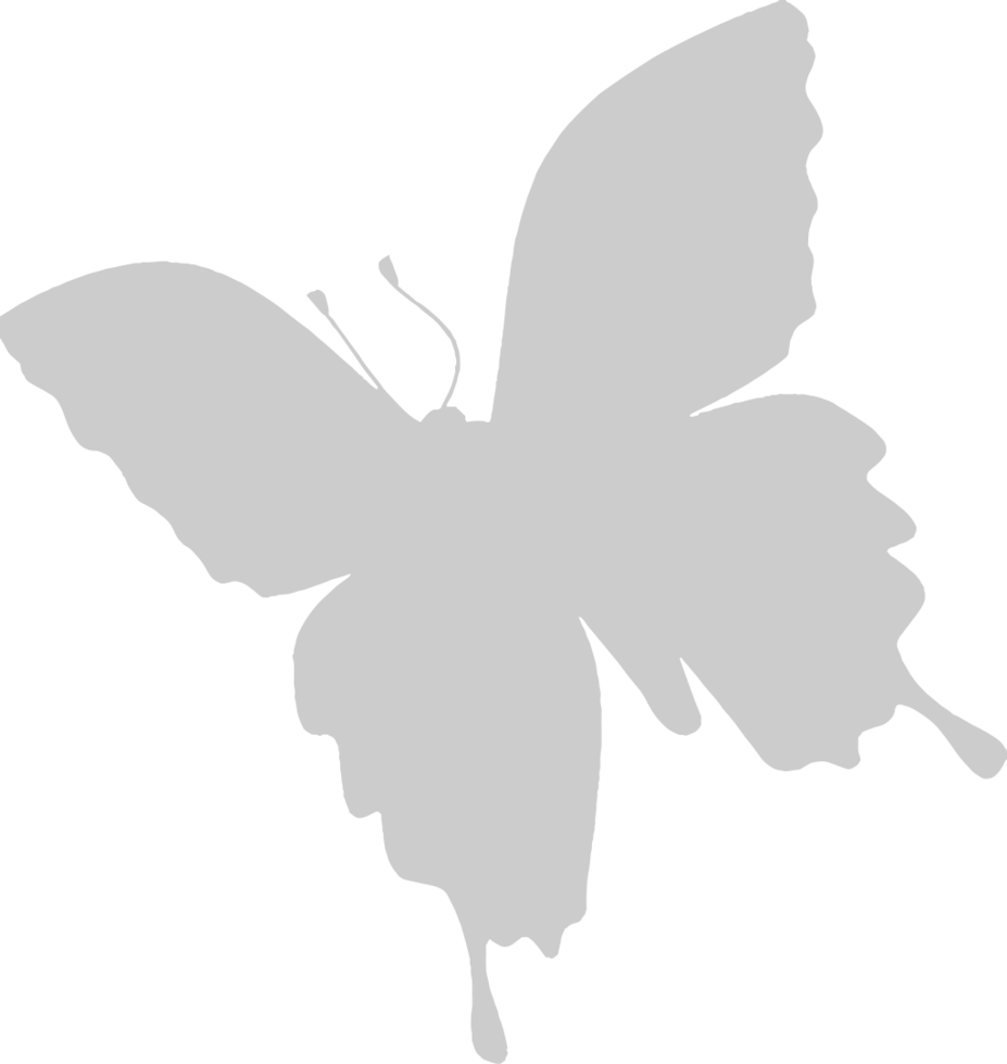 Butterfly vector