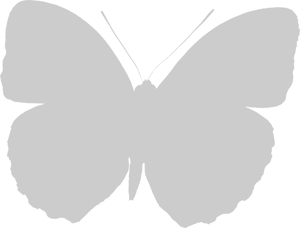 Butterfly vector