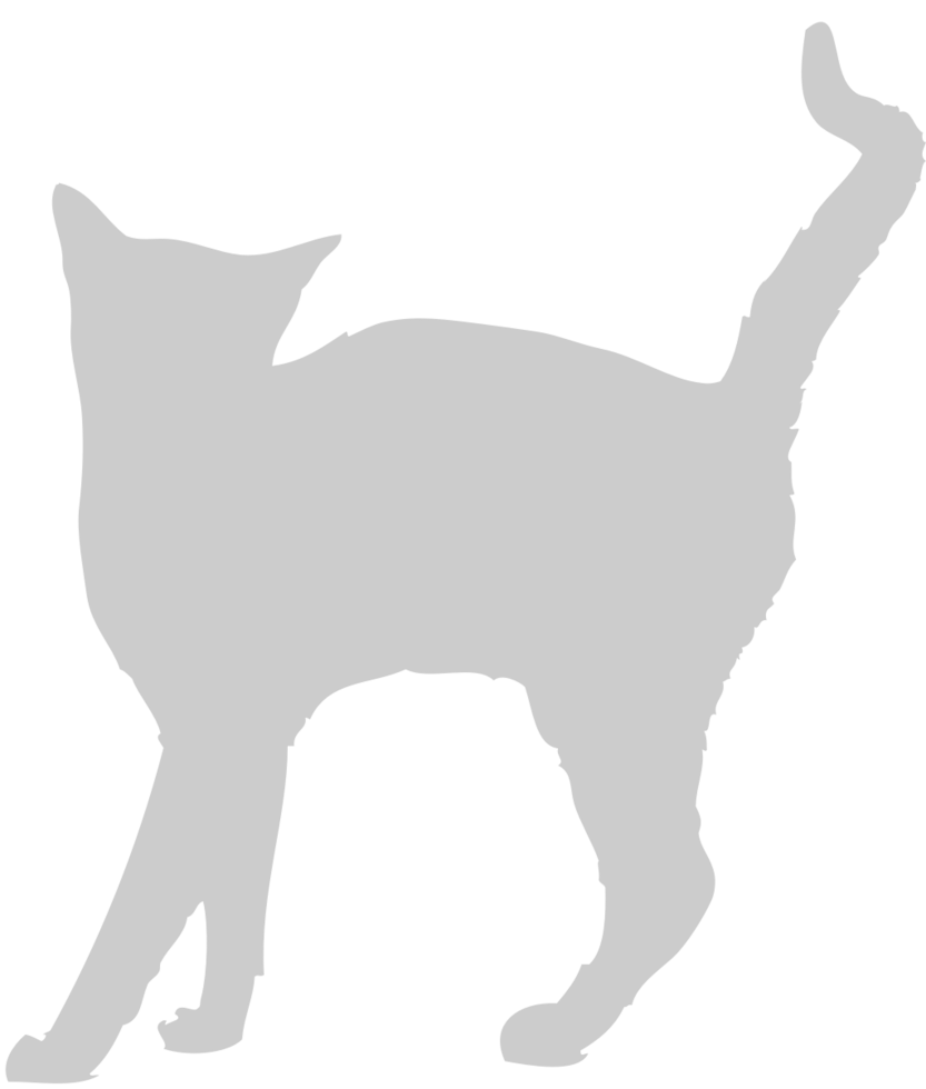 Cat vector