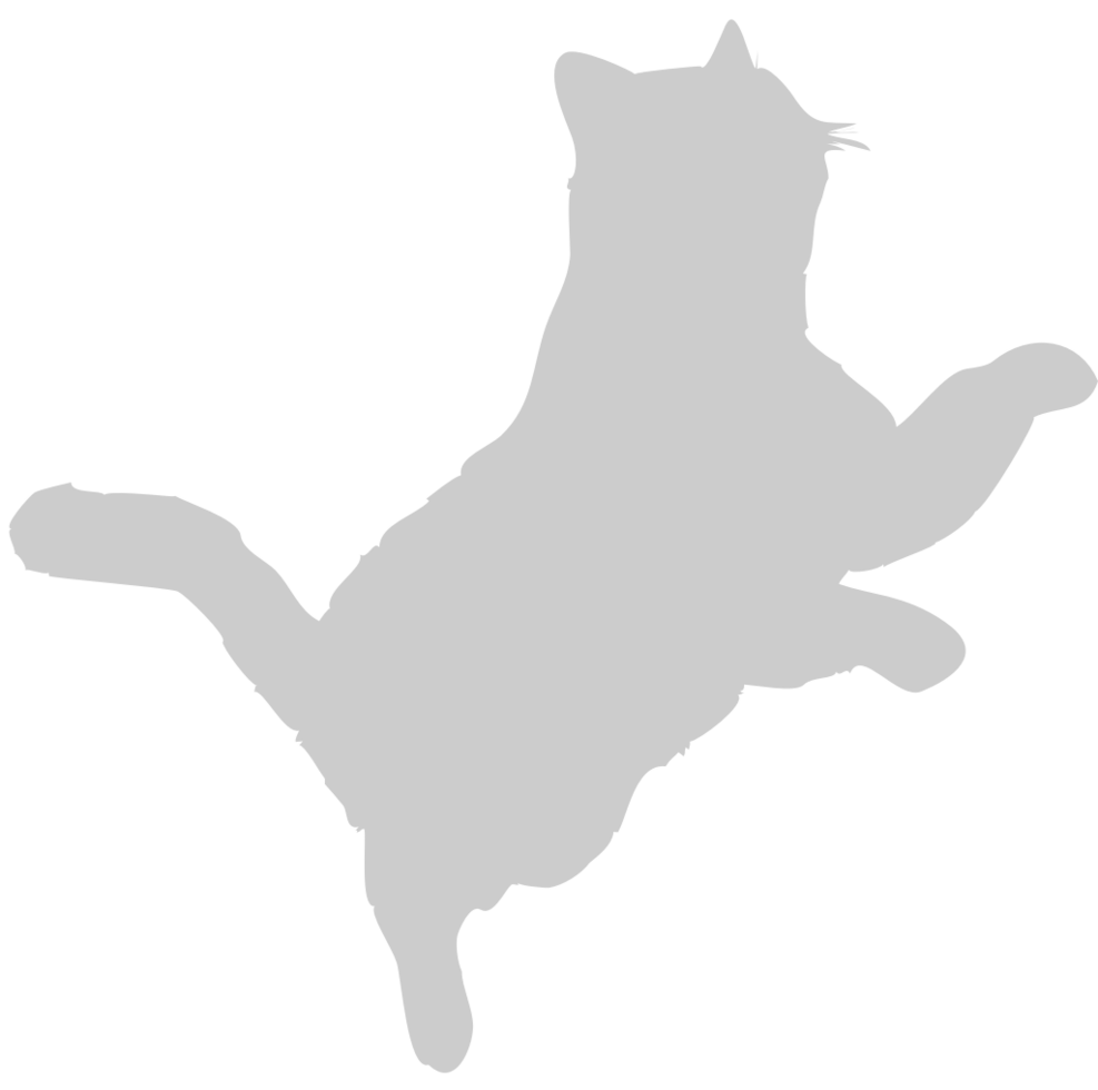 Cat vector