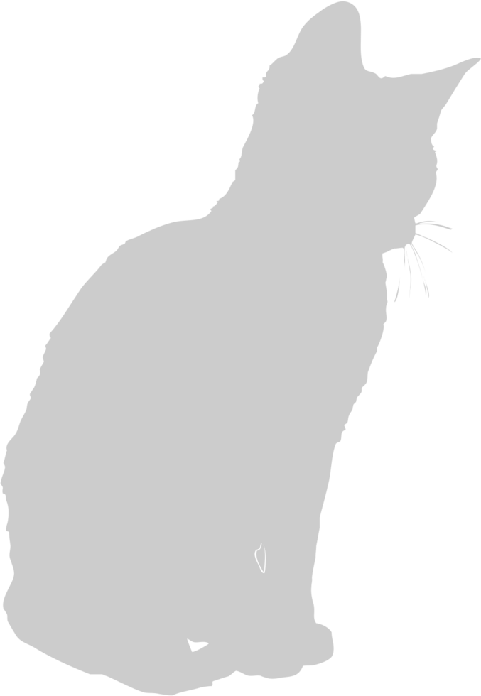 Cat vector