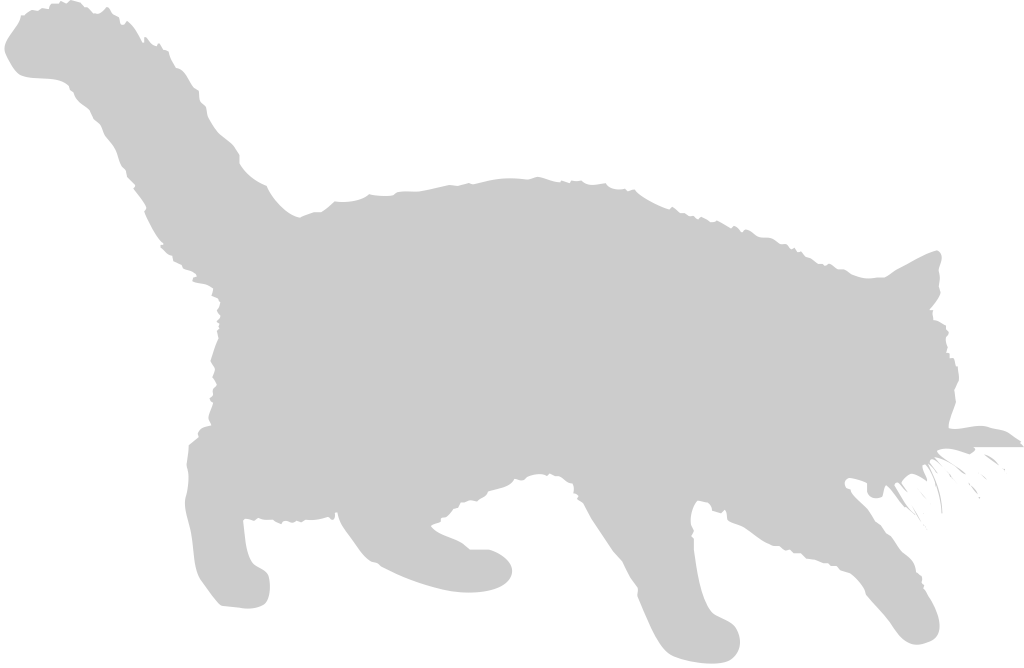 Cat walking vector