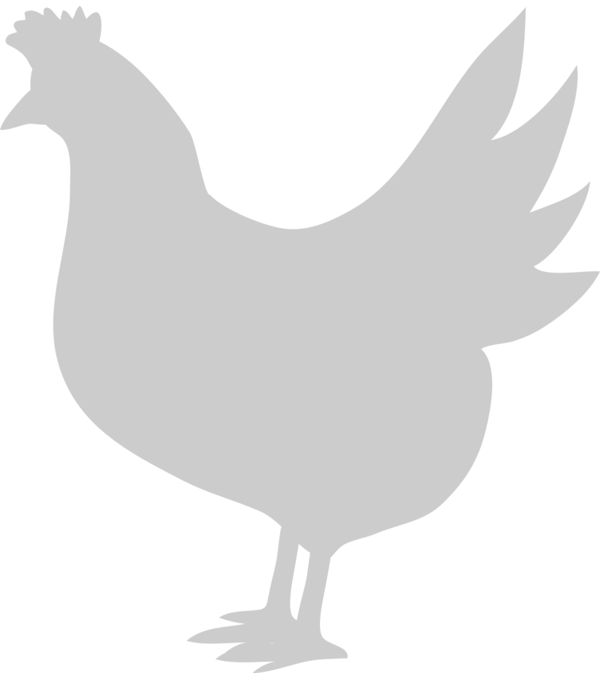 Chicken vector