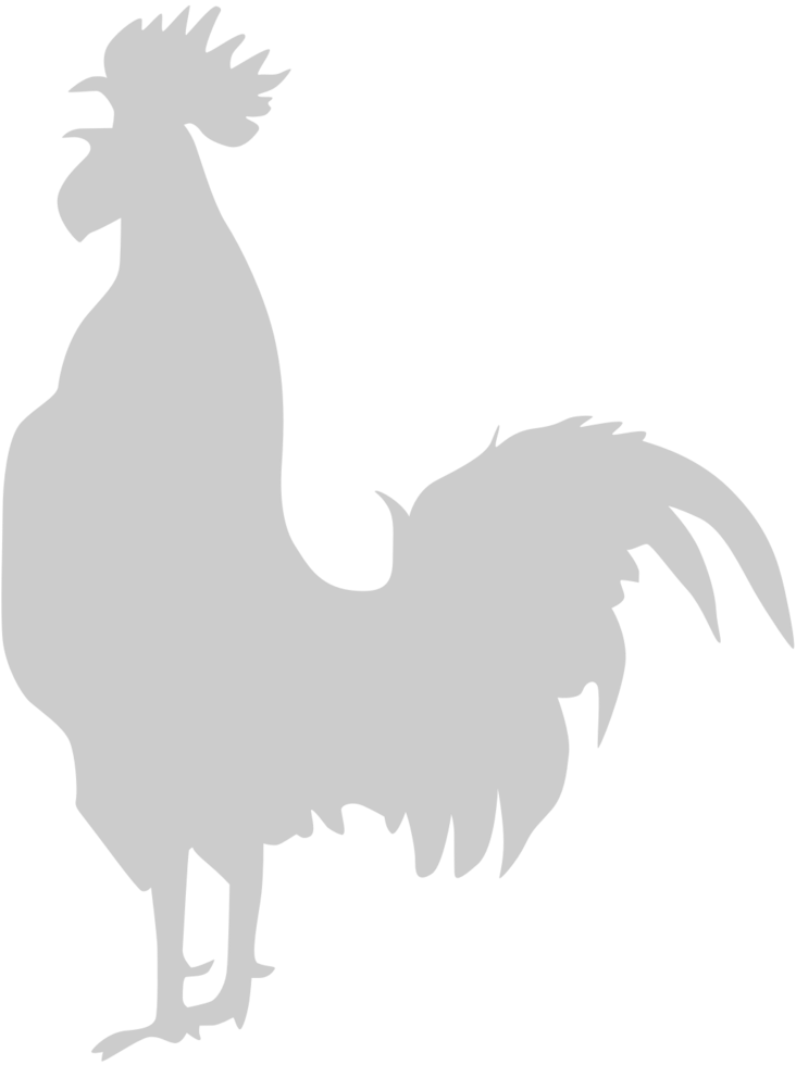 Chicken rooster 36629700 Vector Art at Vecteezy