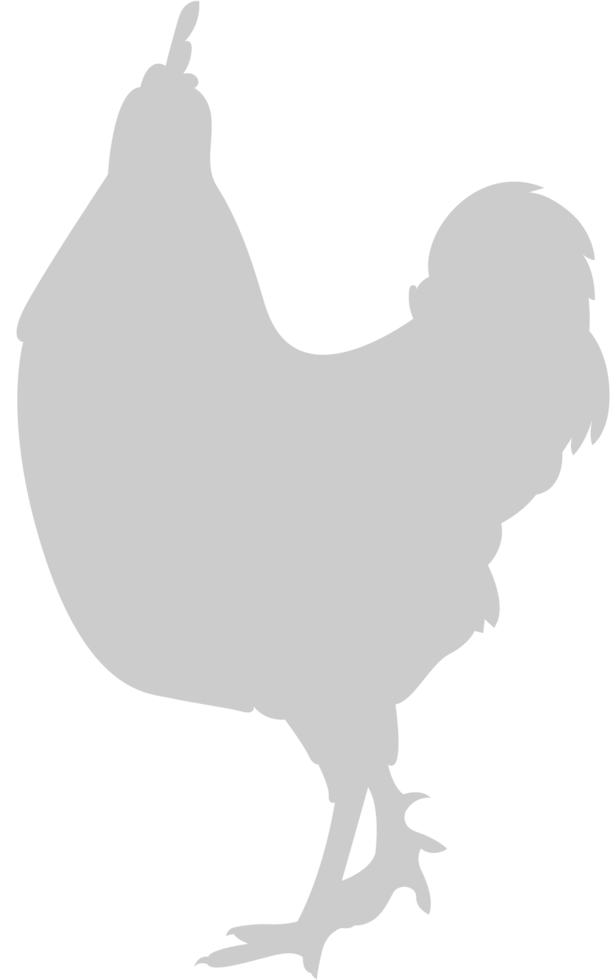 Chicken rooster 36629704 Vector Art at Vecteezy