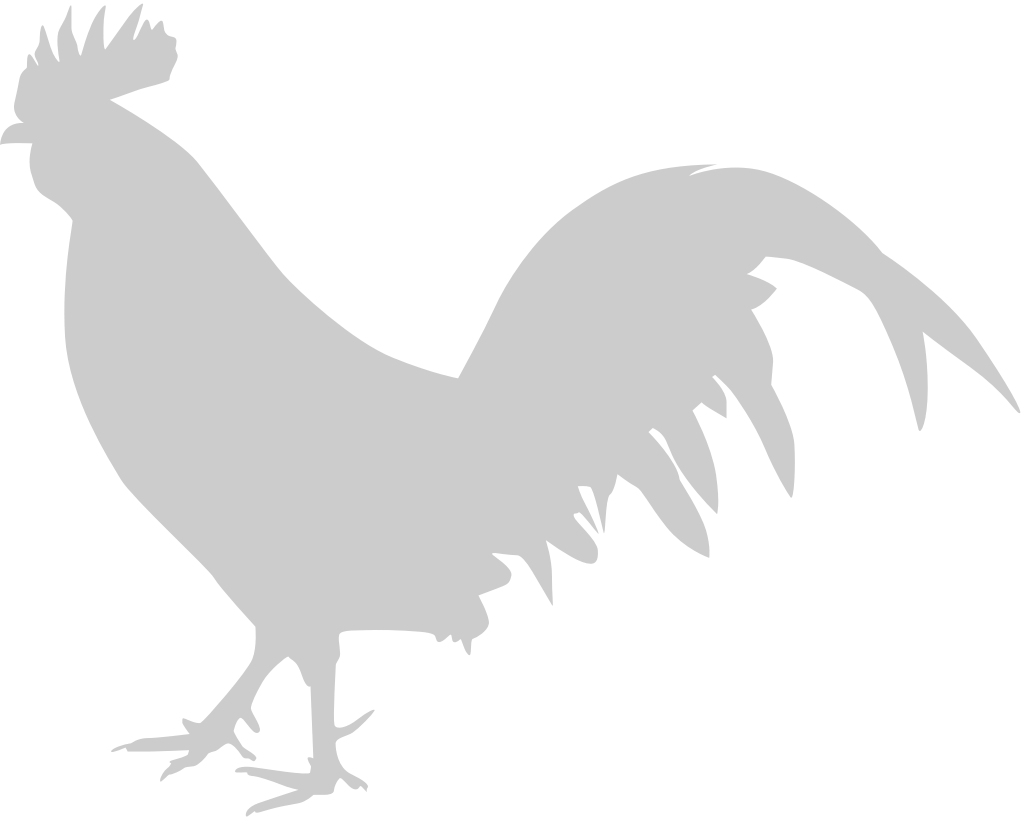 Chicken rooster 36629706 Vector Art at Vecteezy