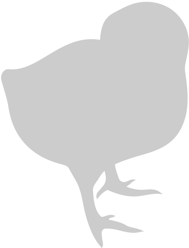Chicken vector