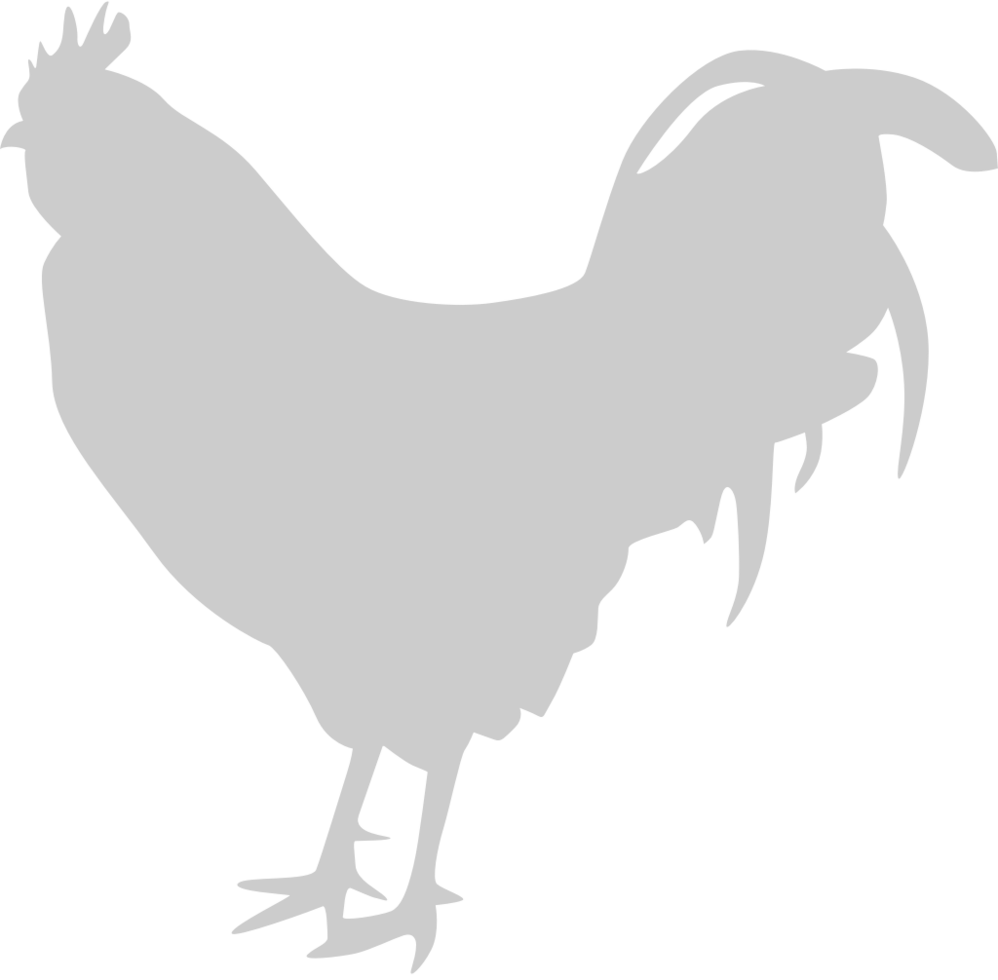 Chicken rooster 36629717 Vector Art at Vecteezy