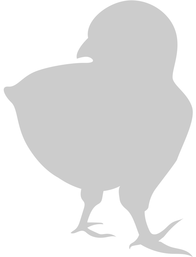 Chicken vector