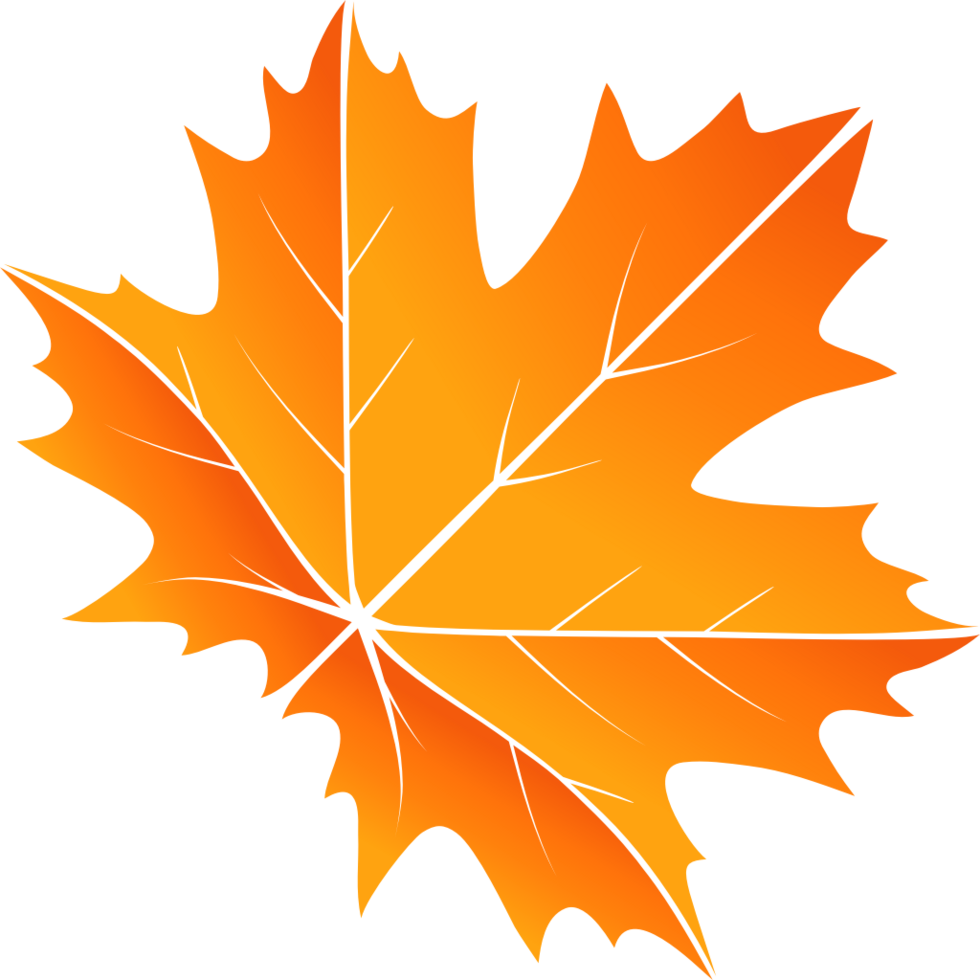 Maple Leaf vector