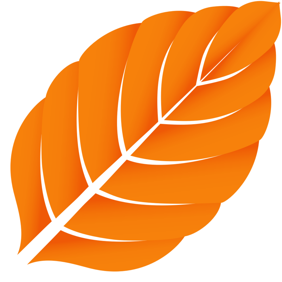 Maple Leaf vector