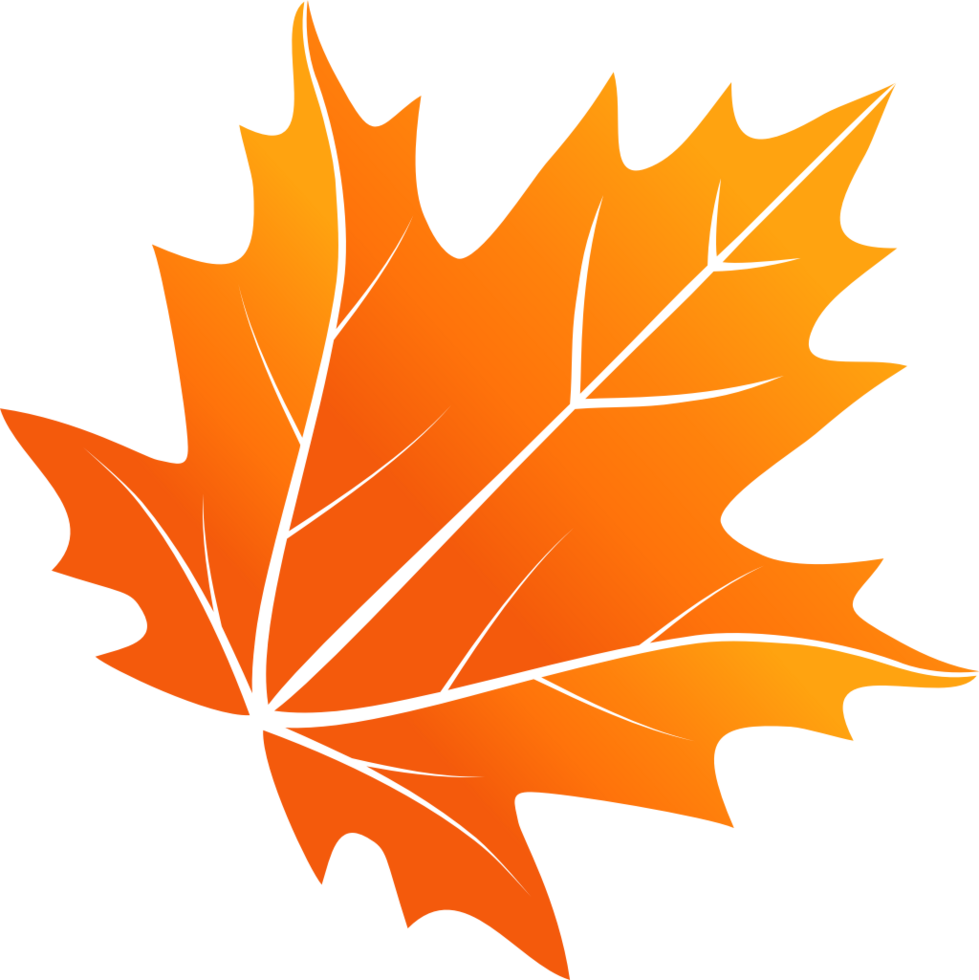 Maple Leaf vector