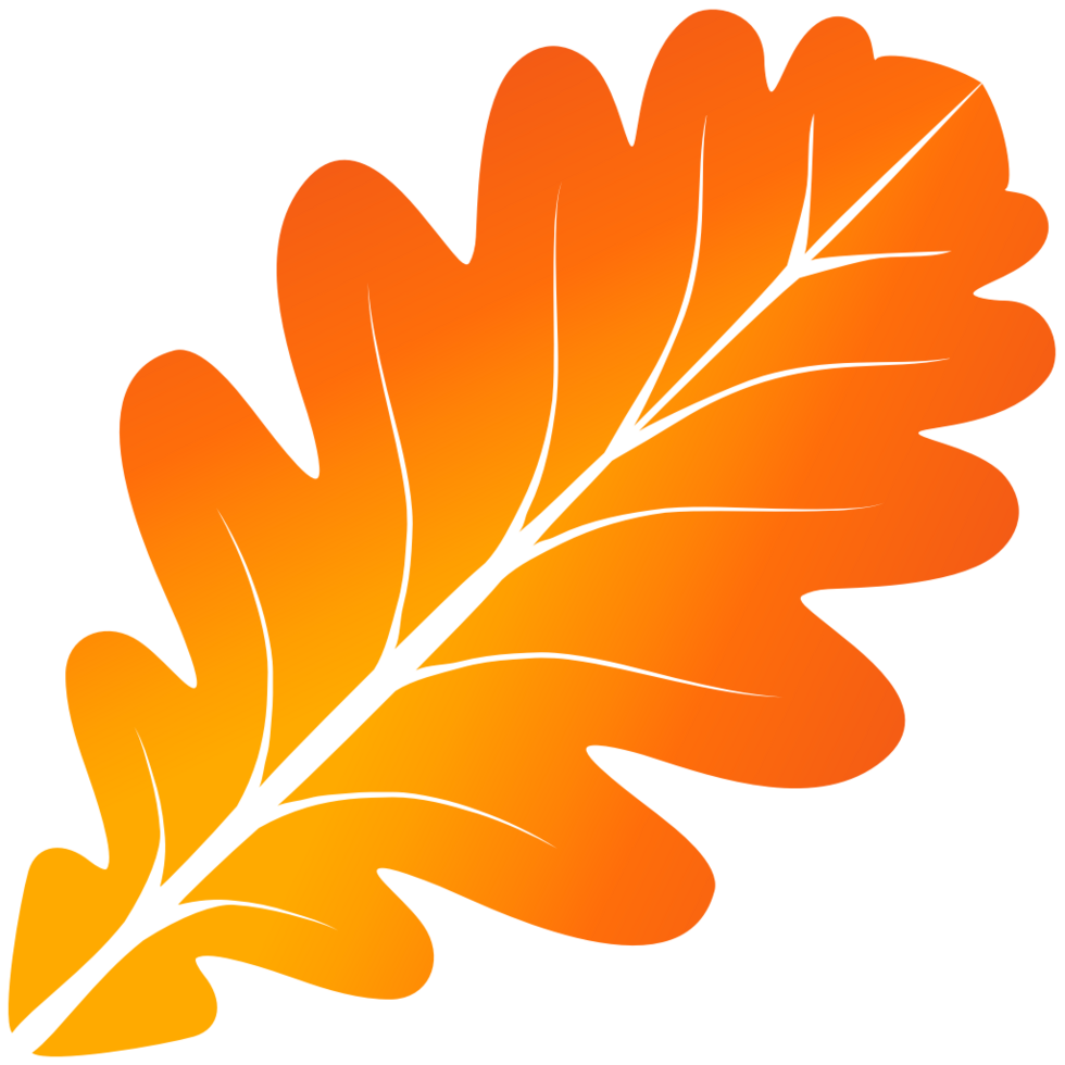 Oak Leaf vector