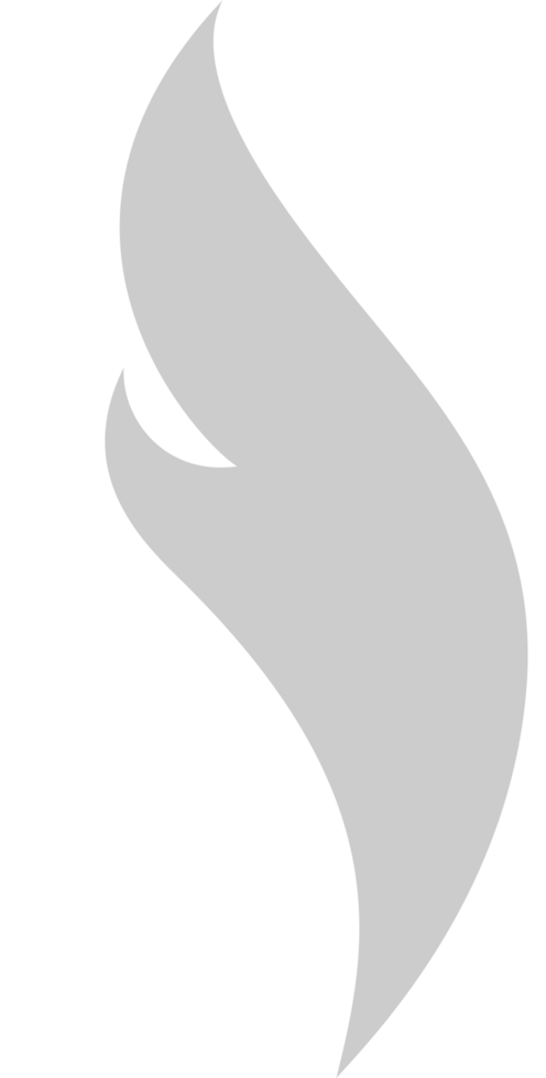 Fire  vector