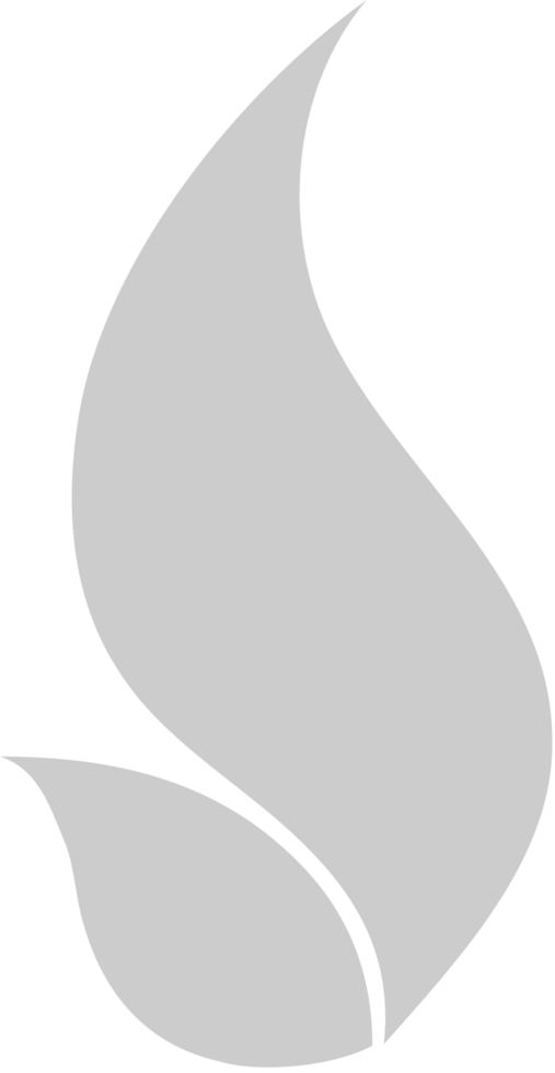 Fire  vector
