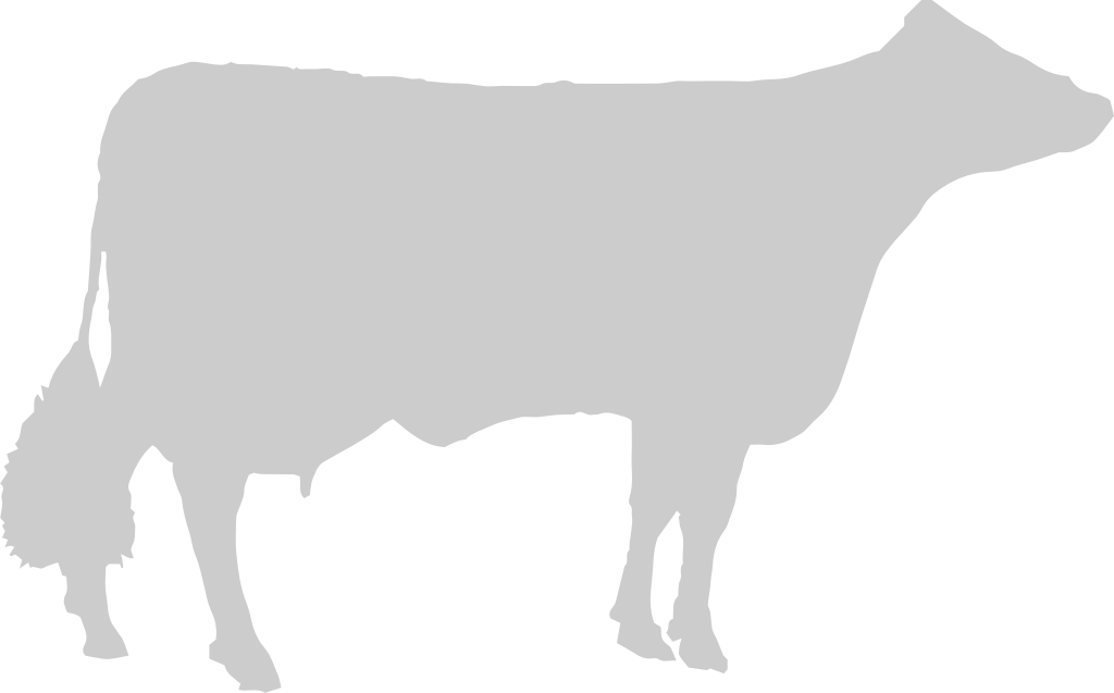 Cow vector