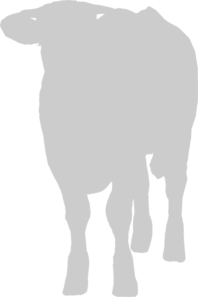 Cow vector
