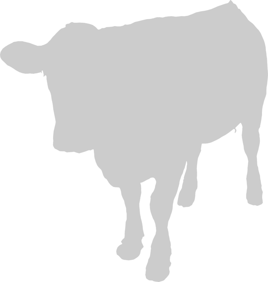 Cow vector