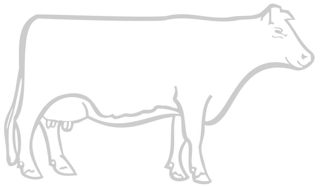 Cow vector