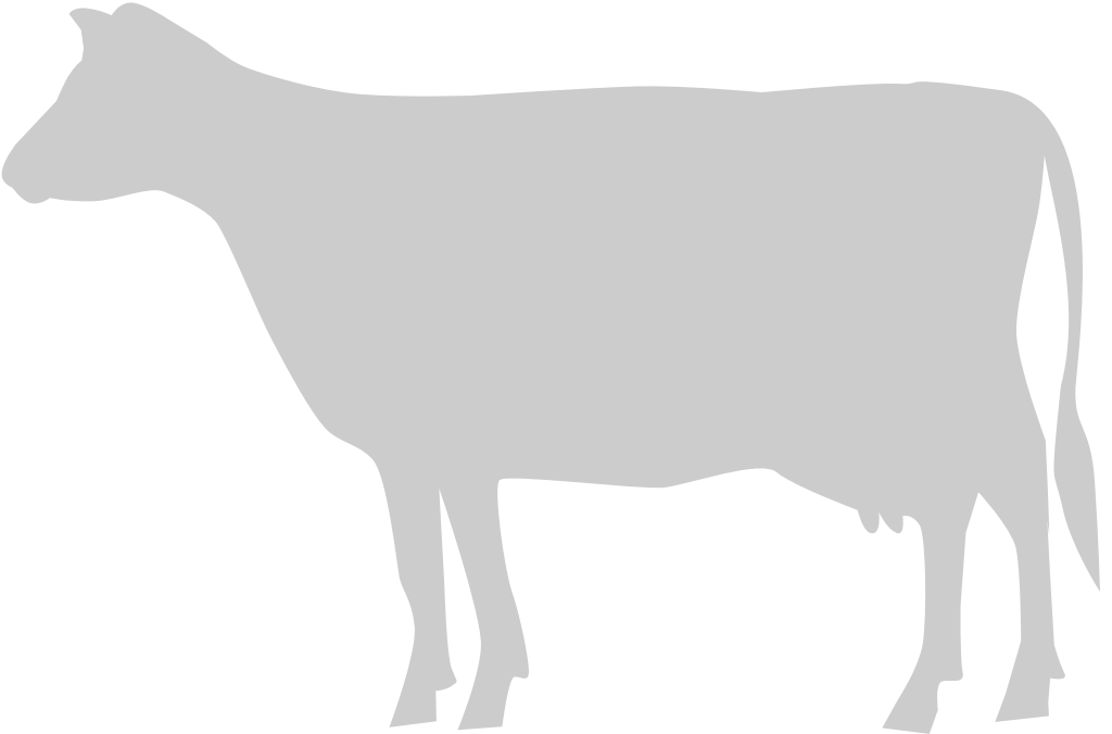 Cow vector
