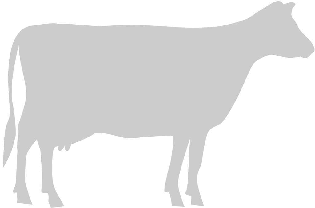 Cow vector