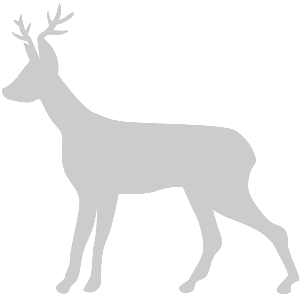Deer vector