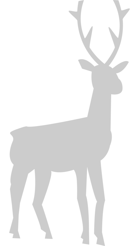 Deer vector