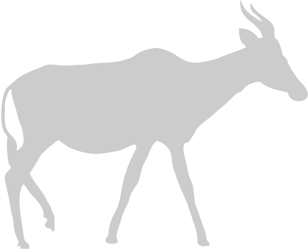 Deer vector