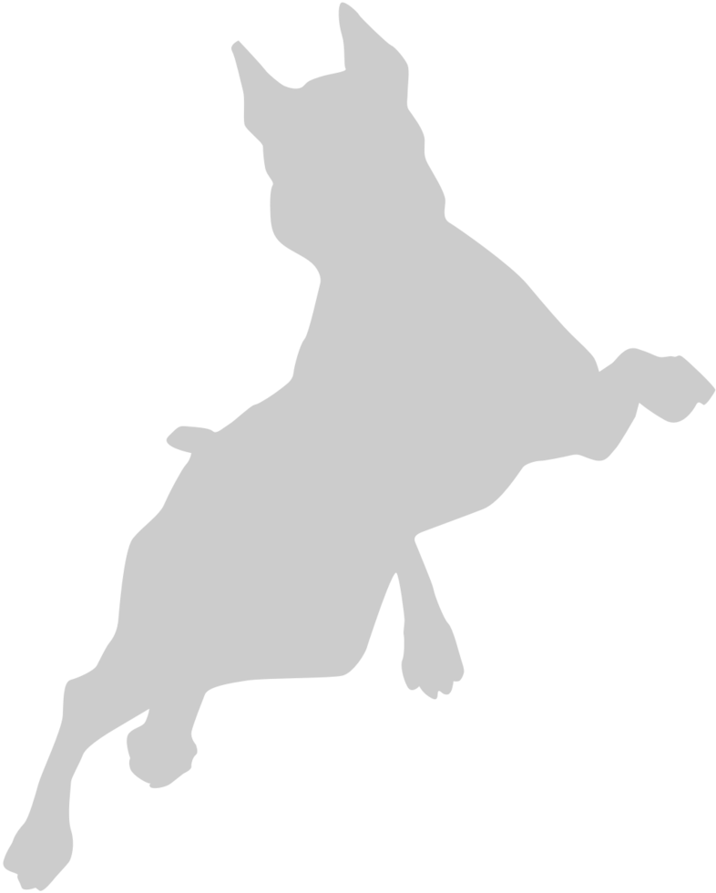 Dog jumping vector