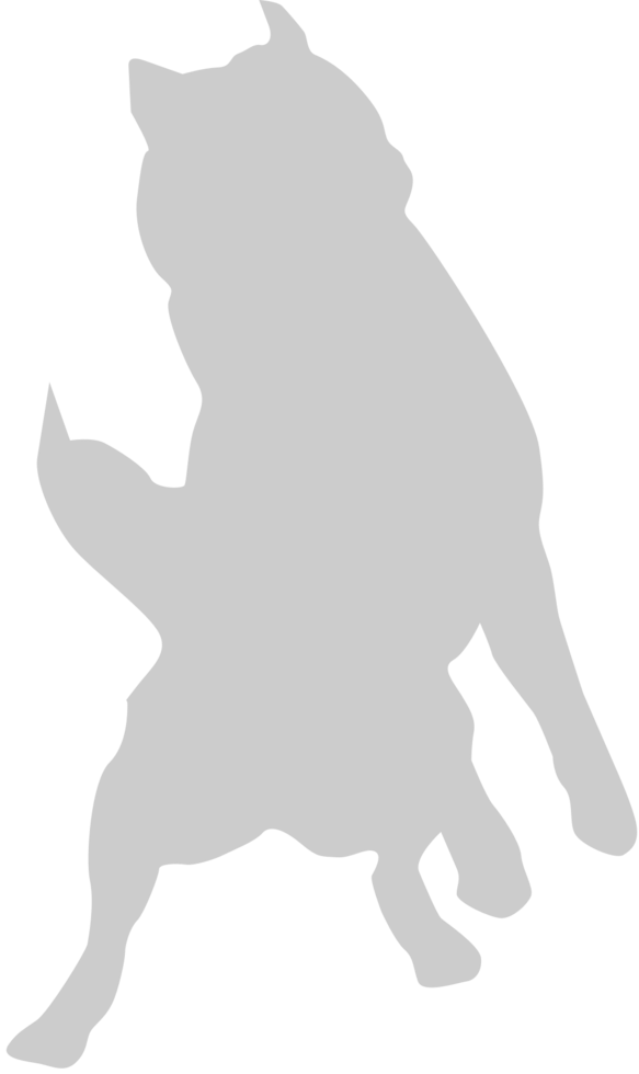 Dog jumping vector