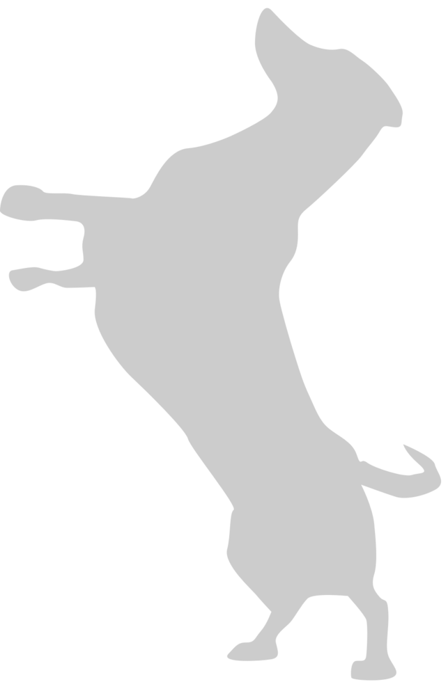 Dog jumping vector