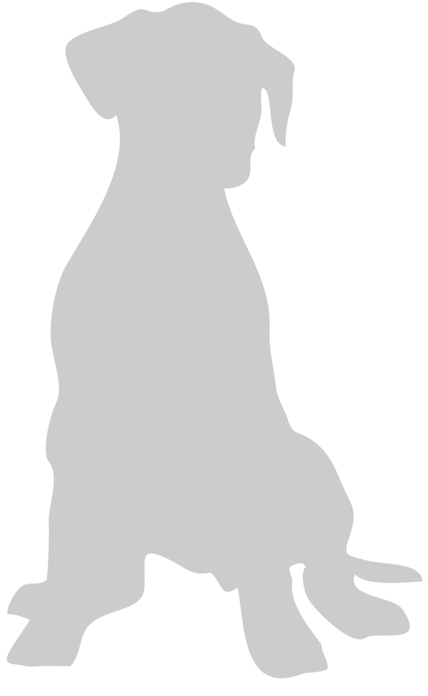 Dog vector