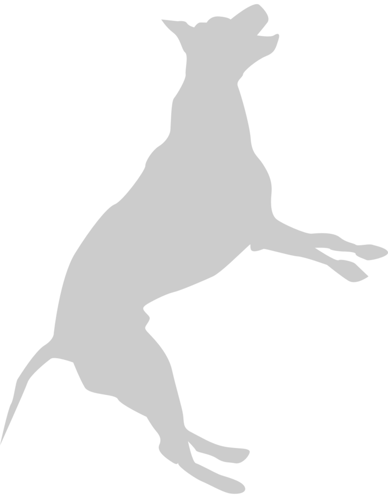 Dog jumping vector