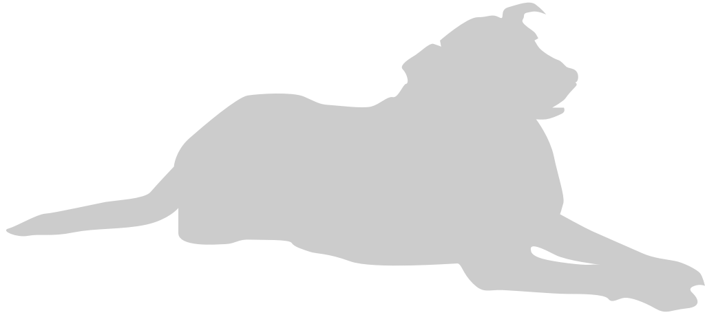 Dog vector