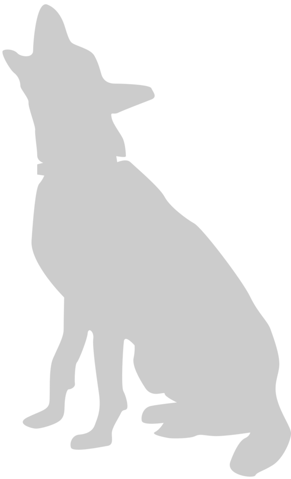 Dog vector