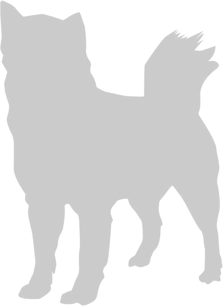 Dog vector