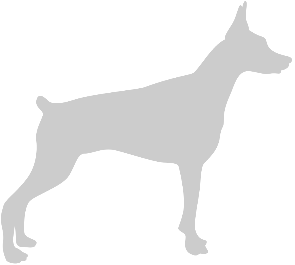 perro vector