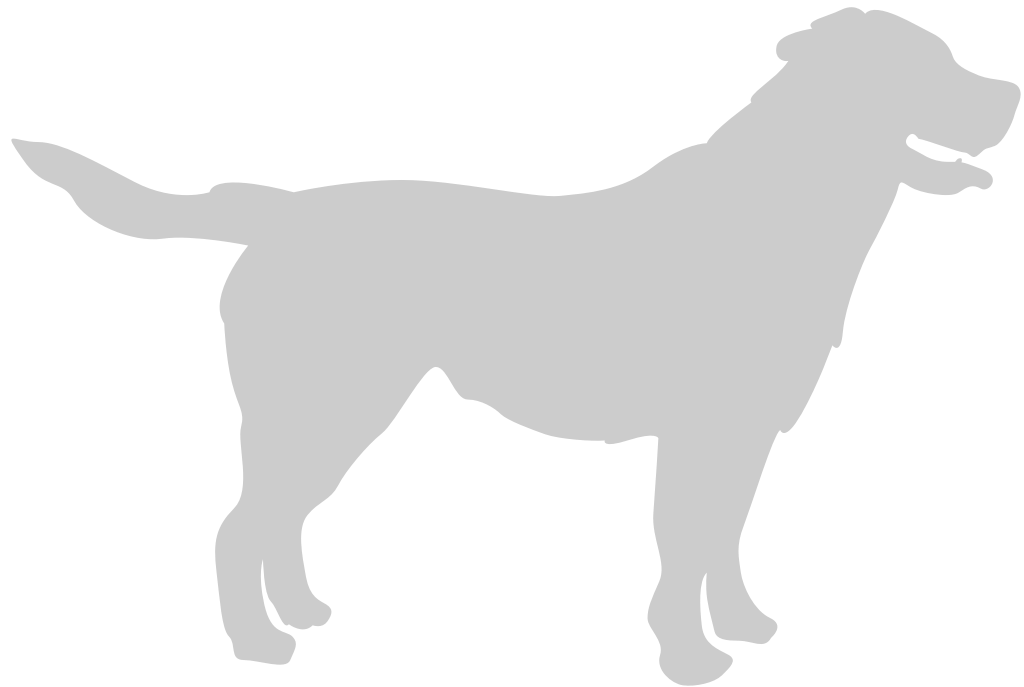 Dog vector