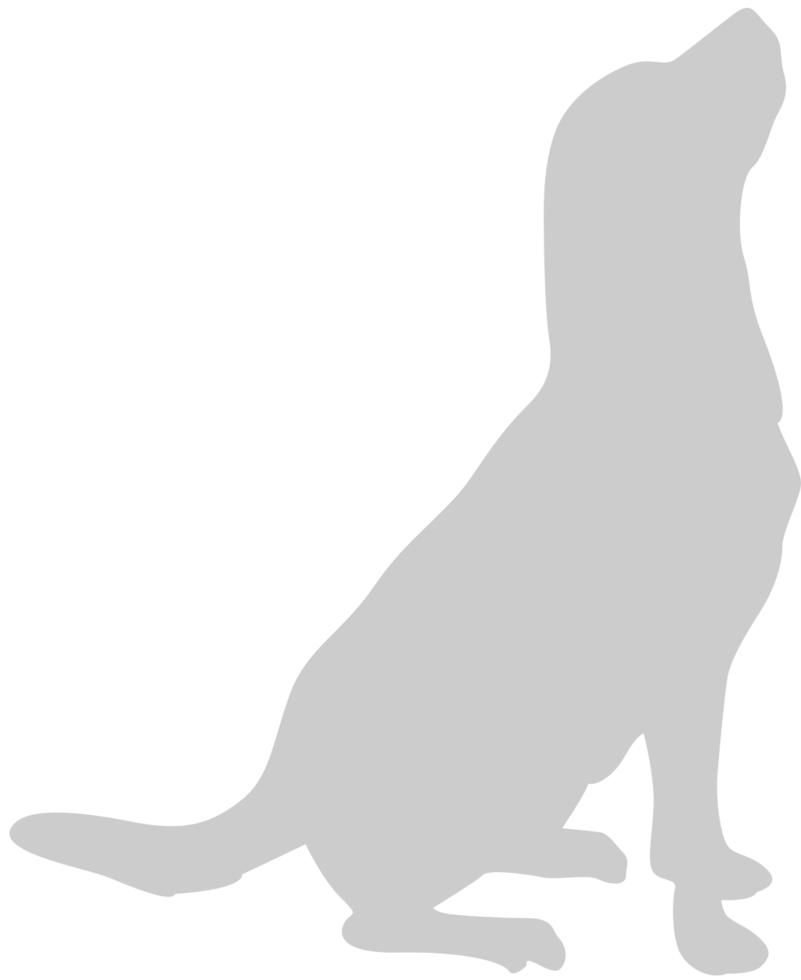 Dog vector