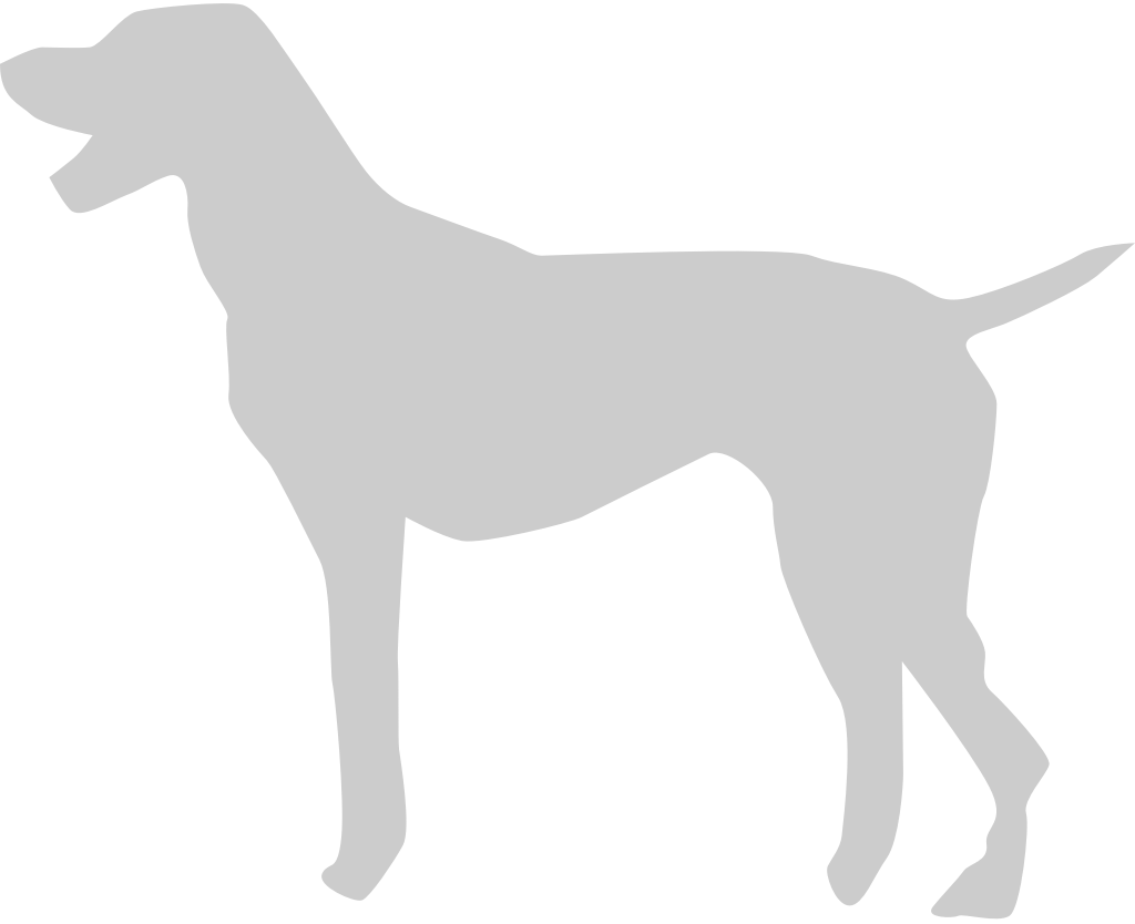 Dog vector
