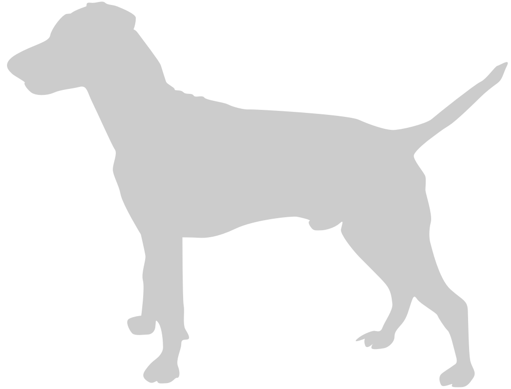 Dog vector