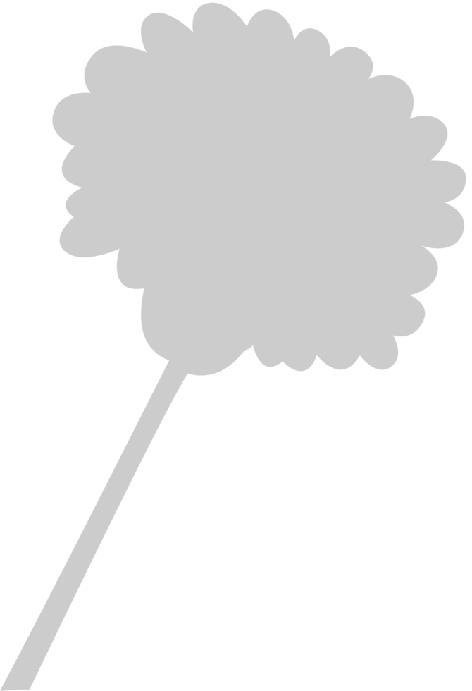 Flower carnation vector