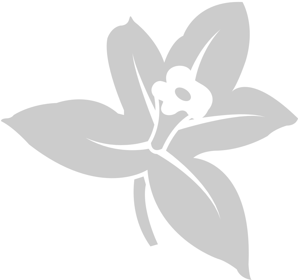Flower vanilla vector