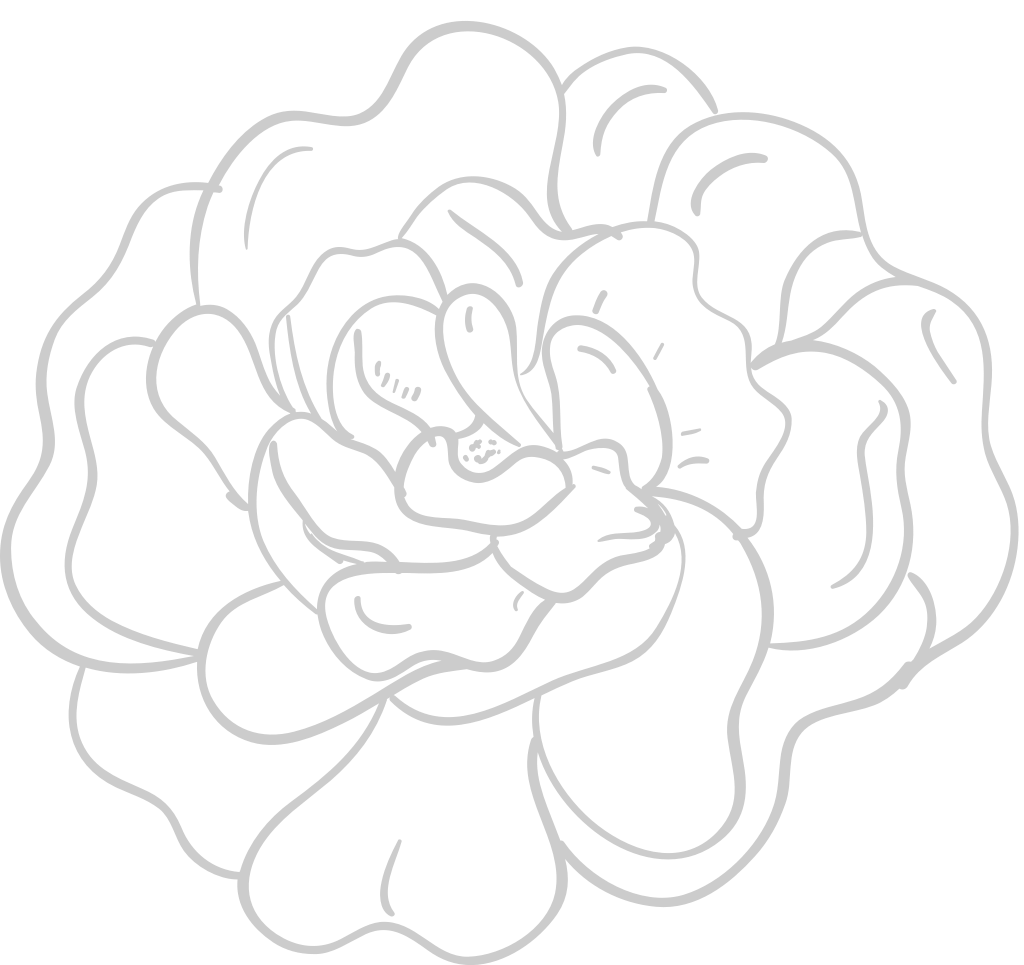 Flower rose vector