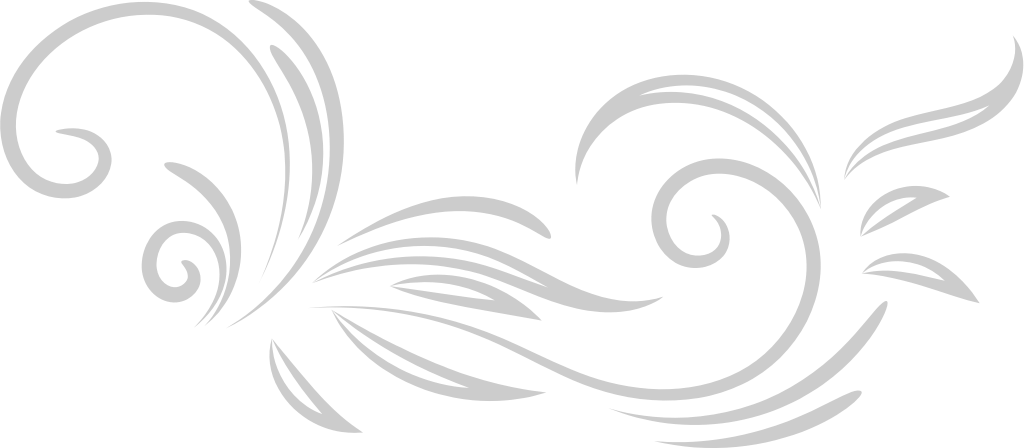 Flower floral vector